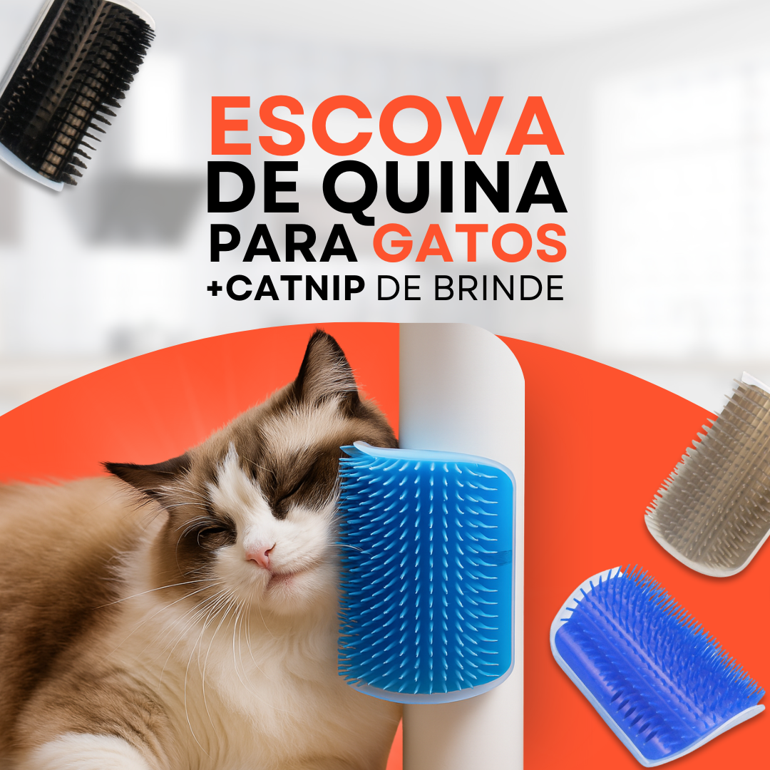 Escova de Quina para Gatos + Catnip de Brinde